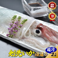 母の日 父の日 ＼解凍5分で獲れたての イカ刺し ／【楽天グルメ大賞 12冠の店】「剣先いか活造り2人前／…