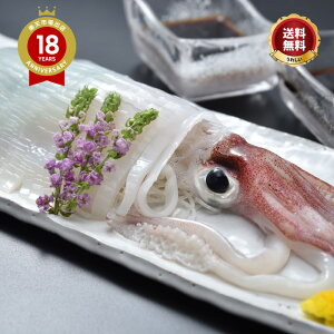 _5ŊlꂽĂ CJh ^y yVO 11̓Xzu悢2lO^v Rӂ{܂炭  蕨 Mtg ̓  hV̓ Ε  Ⓚ  