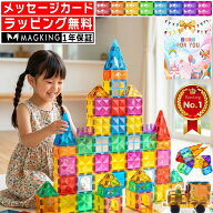 【楽天1位★ラッピング無料】 花海公式1年保証 マグキング マグネット ブロック マグネットブロック 磁石…