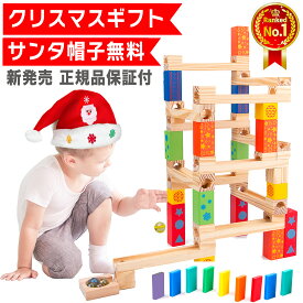 【サンタ帽子★ラッピング無料】 66 スロープトイ ビーズコースター スロープ ビー玉 転がし ブロック おもちゃ 知育おもちゃ 玩具 知育玩具 2歳 3歳 4歳 5歳 6歳 女の子 男の子 女 男 子供 誕生日プレゼント プレゼント 誕生日 幼稚園 保育園 入園 卒園