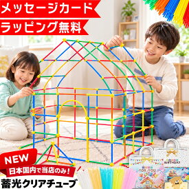 【ラッピング無料★メッセージカード付】 チューブ式ブロック 700pcs 知育ブロック チューブブロック ブロック おもちゃ 玩具 知育 積み木 知育玩具 2歳 3歳 4歳 5歳 6歳 小学生 女の子 男の子 女 男 子供 誕生日 誕生日プレゼント プレゼント ギフト