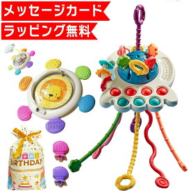 【ラッピング無料★メッセージカード付】 プッシュポップ プッシュプル モンテッソーリ 赤ちゃん　幼児 出産お祝い お風呂 おもちゃ 1歳 1歳半 2歳 3歳 4歳 型はめ パズル ブロック おもちゃ 玩具 知育玩具 女の子 男の子 子供 誕生日 誕生日プレゼント プレゼント 送料無料
