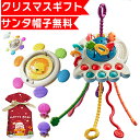 【サンタ帽子★ラッピング無料】 プッシュポップ プッシュプル モンテッソーリ 赤ちゃん　幼児 出産お祝い お風呂 お…