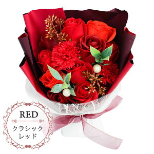 \[vt[ Mtg ̓ a ԑ Mtg t[ V{ u[P (؂ȃu[P^Cv) t[Mtg t[\[v LO a  \  j j  