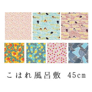 C~ kata kata ͂ ނ C~i45cm/8j Mtg { v[g  蕨 Rbg   ˂ n`h R fB[X aG G ӂ낵 C~ ̓