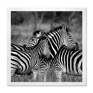 A[gpl yfR V}E} [u mN  A[gt[ ւɏG  G CeA Ǌ| z z rO  z v[g zG Mtg |X^[ z