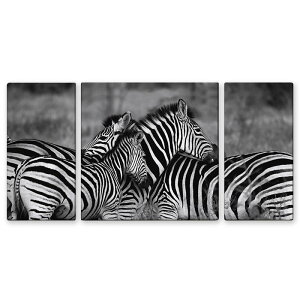 A[gpl [u V}E} mN i 3Zbg A[gt[ Ǐ CeA A[gpl G CeA Ǌ| z z rO  z v[g zG Mtg |