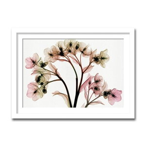 A[gpl X-rey ʐ^ Hellebore II NX}X[Y  A[gt[ ւɏG  G CeA Ǌ| z z rO  z v[g zG Mtg |X^[ 