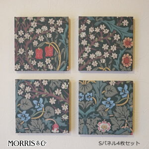 EBAX A[gpl ~jTCYS ǎ ubNg[ Blackthorn 4Zbg ؐplgp Ǐ CeA A[gpl G CeA z  zG t[ 