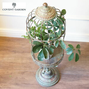 RxgK[f Ff X^h K[{ v^[X^h g K[fjOG AeB[N ϗtA CeA G AeB[N AeB[NG G Ce