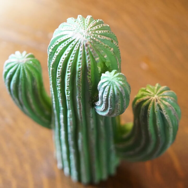 楽天市場】ダルトン DULTON CACTUSE サボテン 置物 おしゃれ オブジェ 