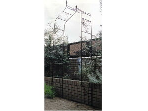 GNXeA K[fA[`A^  GNXeA K[fjO  [bp  AeB[NƋ tFX v^[