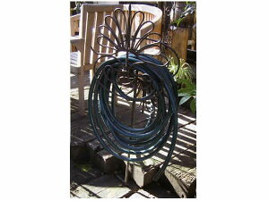 GNXeA z[XnK[ 36427  GNXeA K[fjO K[f  [bp  AeB[NƋ tFX v^[