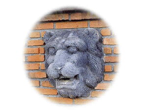 GNXeA ǐ CI tFCX  GNXeA K[fjO K[f  [bp  AeB[NƋ tFX v^[