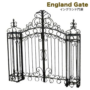 GNXeA  COh JZbg 0100128-0100127×2 lC  GNXeA K[fjO K[f  [bp  AeB[NƋ tFX v^[[Y