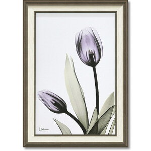 X RAY LoXA[g u `[bv v MTCY G CeA Ǌ| G z G |X^[ G  CeA G AeB[N AeB[N t[ gQ [s