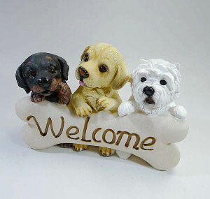 K[fANZT[ hbO{[EFJ(Welcome) ̒u  K[fjOG AeB[N CeA G CeA u AeB[NG C|[gG [sAG