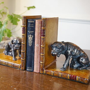 CMX ubNGh {NT[ ubN^ u hbO IuWF NVbNG CeA G AeB[N  [bpG AeB[NG C|[gG