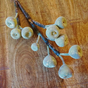 tBO u`Xe  tFCNO[ ԁ@ϗtA AG  _ [sA CeA G AeB[N