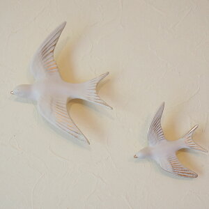 Ǌ| CeA EH[fR zCg o[hS&L 2_Zbg Ǐ CeA k Ǌ|  G AG F NVbN AeB[N  g u 蕨 IuWF ǖ