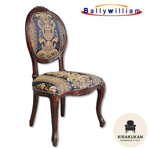 AeB[NƋ _CjO`FA TCh`FA H֎q pƋ Bally William (o[EBA }zKj[  Ƌ AƋ NVbN  Ƌ 