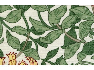 EBAX n t@ubN z nj[TbN6 pr7611-6 lC ǎ NbV NX t@ubN z NtgA[c CMX AeB[N NVbN X ǎ E