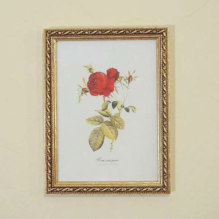 楽天市場 絵画 インテリア 額入り イタリア製 薔薇額絵 ゴールド枠 アクリル板 ローズ レッド 絵画 花 メール便使用 絵画 輸入雑貨 おしゃれ雑貨 イタリア 額 壁掛け 額 ルドゥーテ 花 インテリア 雑貨 バラ 額 クラシック 額 ロザリアン 壁掛け 輸入家具