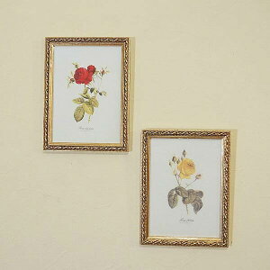 C^A KNzG S[hg AN 2Zbg̔ CG[ bh i 0024163-0024164 jy [֎gp z  z  C^A z Ǌ| z i  hD[e UA