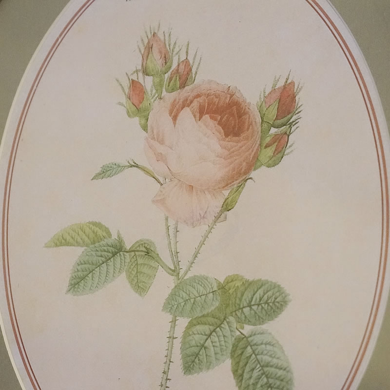 1716円 「かわいい～！」 イタリア製 薔薇額絵
