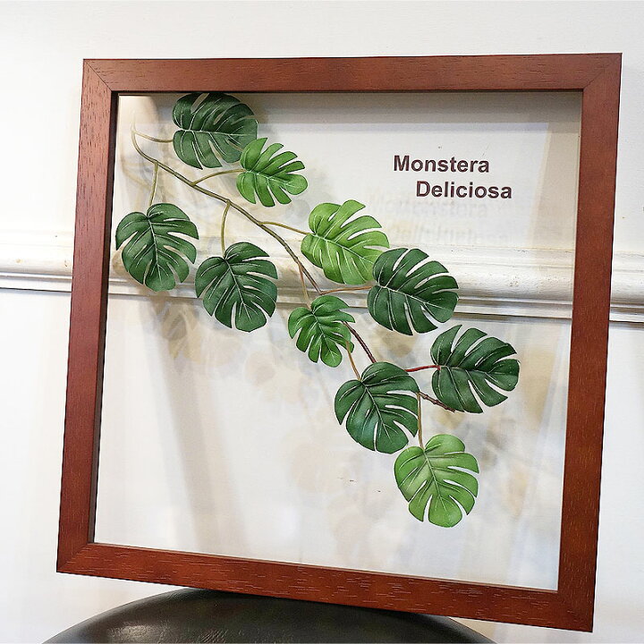 楽天市場】リーフパネル モンステラ3 額 MONSUTERA ブラウン フェイク  