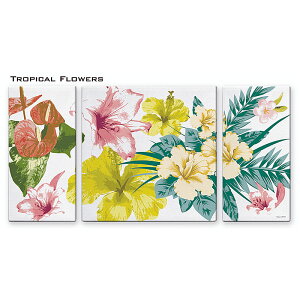 A[gpl TROPICAL FLOWERS gsJt[Y 3Zbg CXg A[gt[ Ǐ CeA A[gpl G CeA Ǌ| z z rO  z v[g 