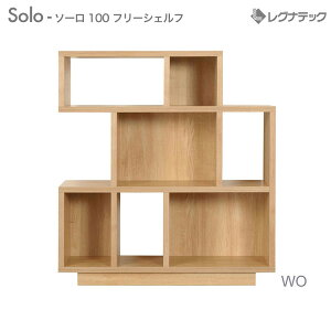 OiebN Solo \[ 100 t[VFt 󒍐Y lC  [Ƌ {I I _Ƌ VvƋ i`Ƌ AeB[NƋ kƋ ؐ Y