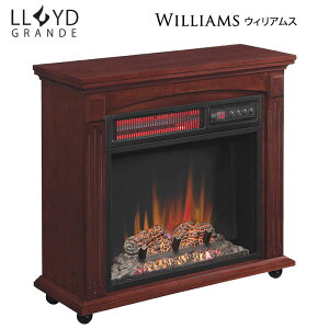 dCgF ChOf EBAX 18C` ԊO(1000W) gF  CeA  dCgF AG C^AƋ AƋ  G AeB[N [sA A