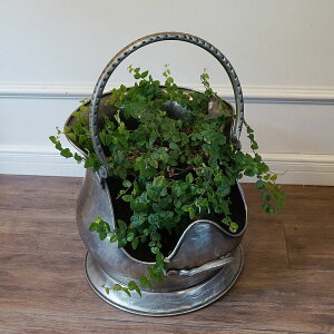 mELYnC^A  d v^[Jo[ Jo[ x[X  C^AG C^A CeA G AeB[N [bpG AeB[NG C