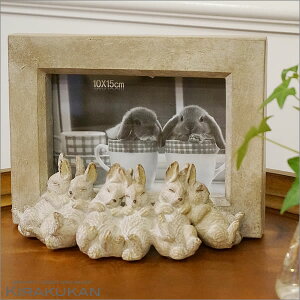 X[sO Rabbit t[ ʐ^ tHgt[ AG C^A G [bpG AeB[N G CeA  CeA u  G [sA G 