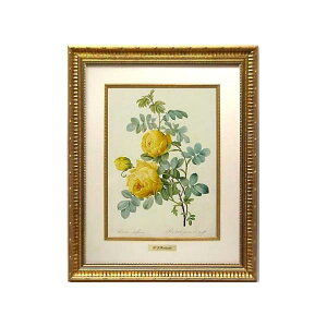 絵画 インテリア ルドゥーテ 絵額 複製画 受注生産 『 レ ローズ バラ図譜 ロサ スルフレア 』 フォリオ判 大 ゴールドフレーム RF-H 絵画 花 絵画 額入り 絵画 バラ 薔薇雑貨 人気 輸入雑貨 お