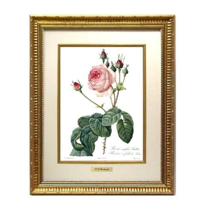 楽天市場】【スーパーセール限定価格】 絵画 インテリア ルドゥーテ 絵 