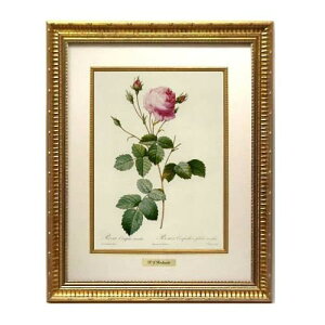 �G�� �C���e���A ���h�D�[�e �G�z ������ �󒍐��Y �w �� ���[�Y �o���}�� ���T �N���i�[�^ �x �t�H���I�� �� �S�[���h�t���[�� RF-M �G�� �� �G�� �z���� �G�� �o�� �K�N�G�� �l�C �A���G�� ��