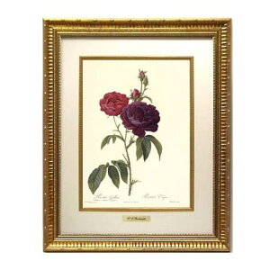 �G�� �C���e���A ���h�D�[�e �G�z ������ �󒍐��Y �w �� ���[�Y �o���}�� ���T �K���J �x �t�H���I�� �� �S�[���h�t���[�� RF-N �G�� �� �G�� �z���� �G�� �o�� �K�N�G�� �l�C �A���G�� ������