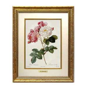 yX[p[Z[艿iz G CeA hD[e Gz  󒍐Y w  [Y o} T _}XPi x tHI  S[ht[ RF-U G  G G o KN