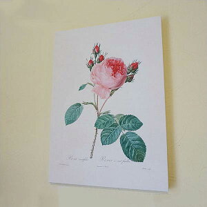 G CeA z hD[e LoXGz w o} x A3TCY T PeBtHAG  t[ G  AG oG KNG  Ǌ| G G [s