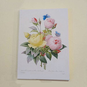 G CeA z hD[e LoXGz w ԑI x A4TCY [Y u[P  t[ G  AG oG KNG  Ǌ| G G [sA Ae