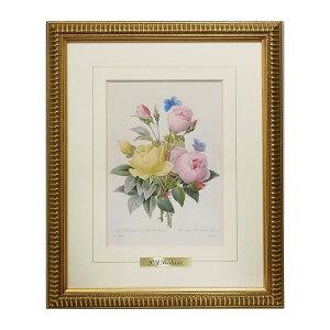 G CeA hD[e [Y Gz  w ԑI [Y u[P x k S[ht[ RS-02 G  G z G o KNG lC AG CeA G AeB