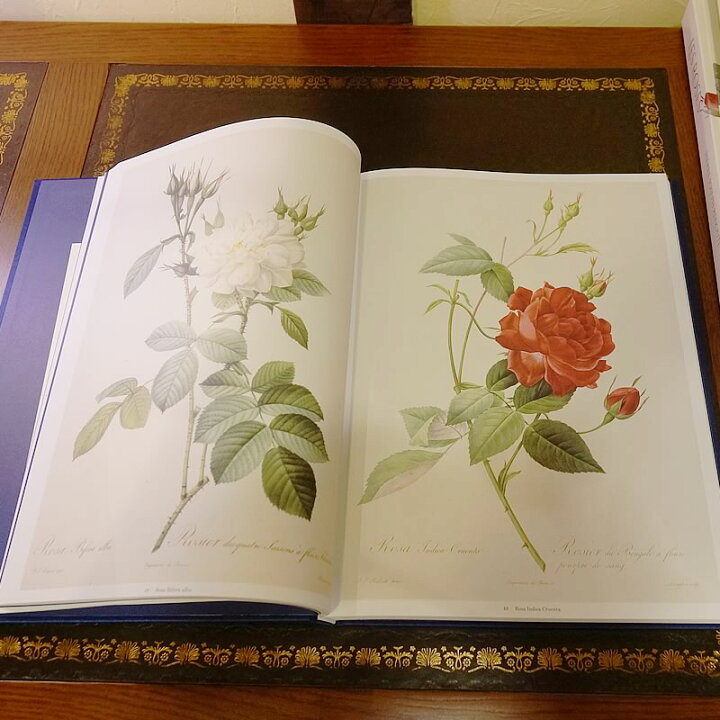 楽天市場】ルドゥーテ 本 「 Les Roses 」 バラ図譜 豪華本 Book 輸入 