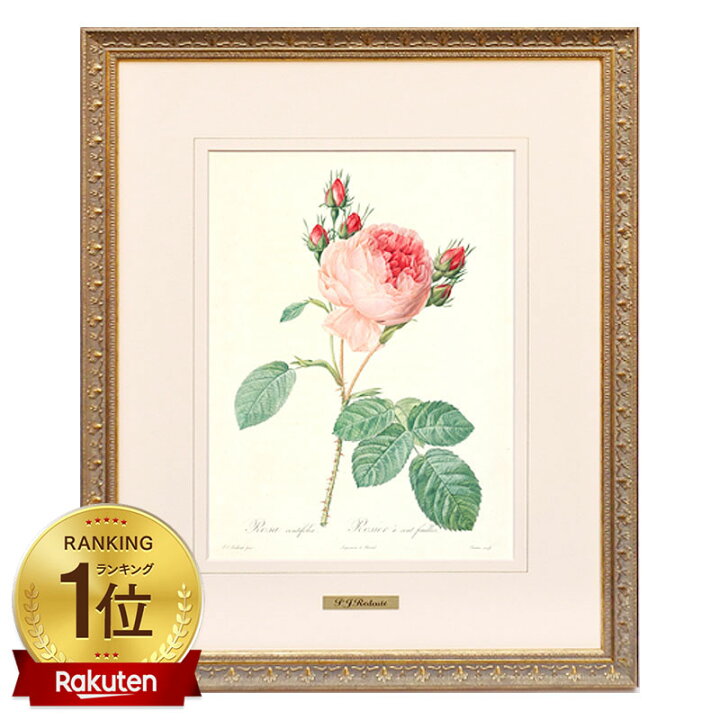 楽天市場】絵画 インテリア ルドゥーテ ローズ 絵額 複製画 『 バラ 