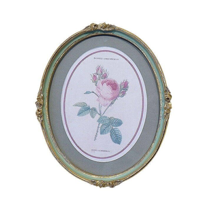 楽天市場】絵画 インテリア ルドゥーテ 薔薇 花 額絵 楕円 Bタイプ 