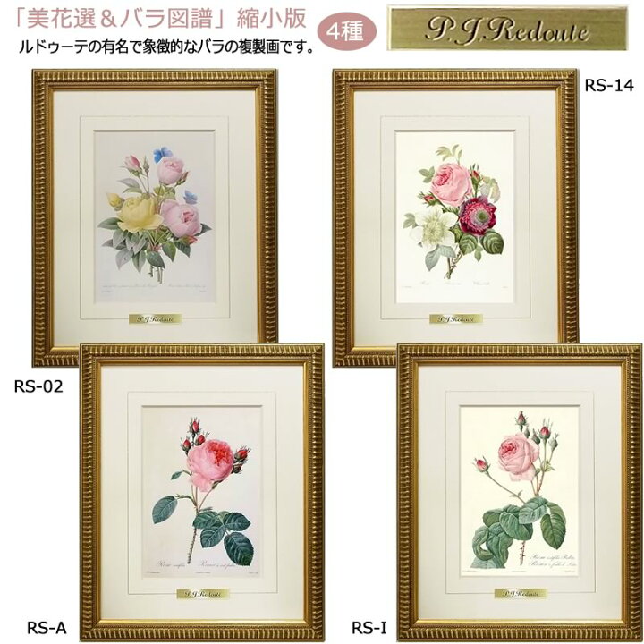 楽天市場】絵画 インテリア ルドゥーテ ローズ 絵額 複製画 『 美花選 