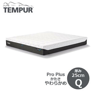 es[ xbh }bgX Tempur v vX VO(S) 炩 25cm }bgXjō̐Q 83109844