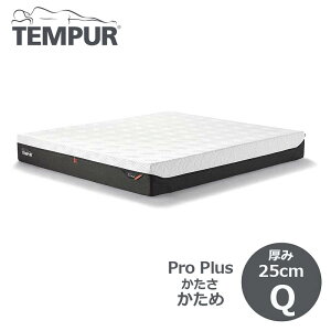 es[ xbh }bgX Tempur v vX VO(S)  25cm }bgXjō̐Q 83109844