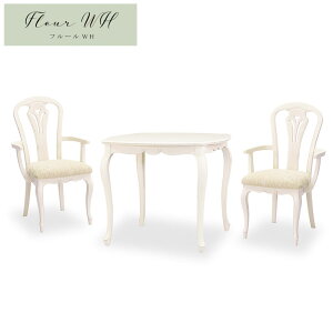 CƋt[ Fleur WH _CjO3_Zbg DT85 A[`FAB zCg Jݒu NVbN RR AƋ Ƌ PƋ Lr CƋ